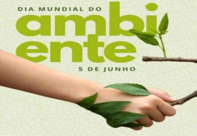 Homenagem aos profissionais que fazem o Dia Mundial do Meio Ambiente