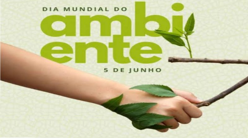 Homenagem aos profissionais que fazem o Dia Mundial do Meio Ambiente