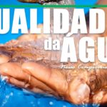 Qualidade da Água: Nosso Compromisso Diário com a Sua Saúde!